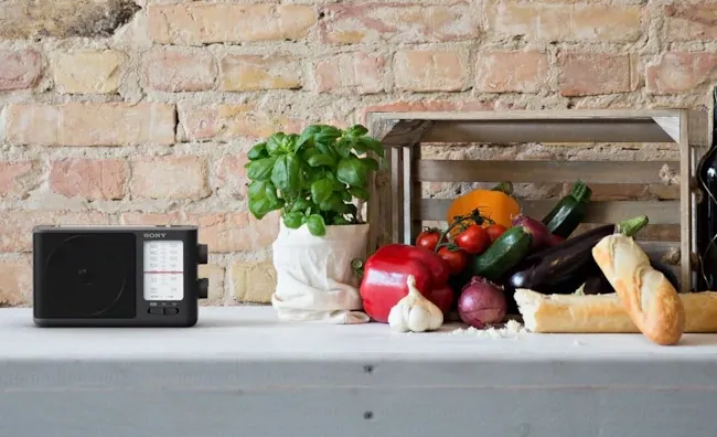 Портативное радио SONY ICF-506, Чёрный