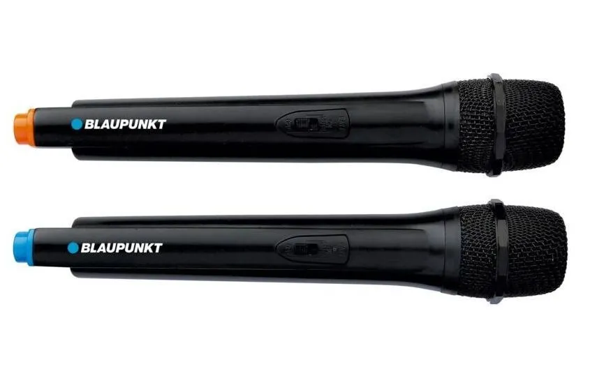 Портативная колонка BLAUPUNKT PB12DB, Чёрный