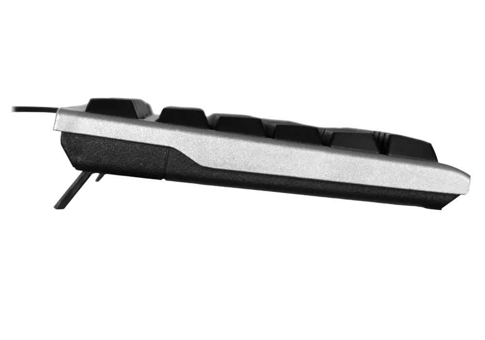 Keyboard SVEN KB-S300, Traditional layout, Quiet, Splash proof, Silver, USB