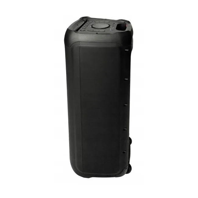 Портативная колонка BLAUPUNKT PB12DB, Чёрный